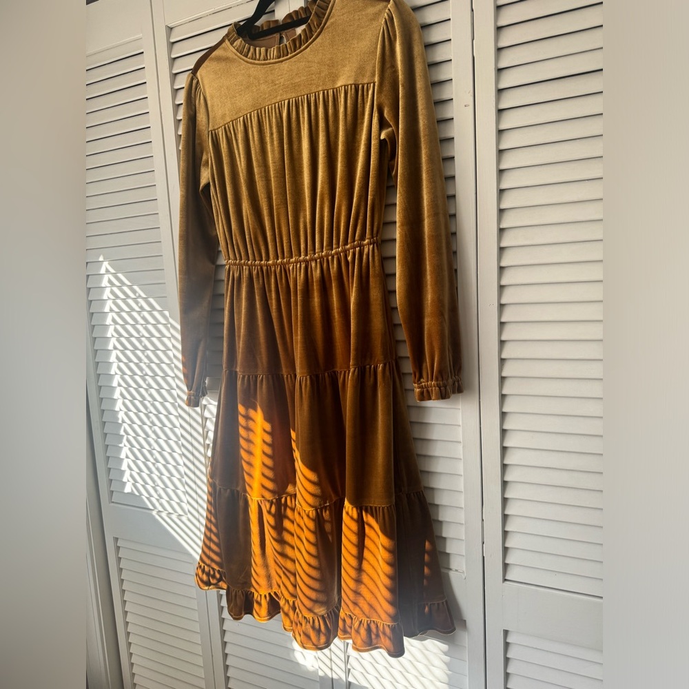 Roolee velvet dress - Picture 6 of 7